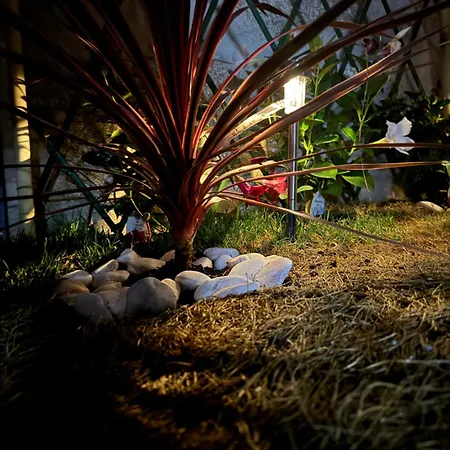 Creaconfort Casa Boa Jóia De Campanhã Сasa de vacaciones Oporto