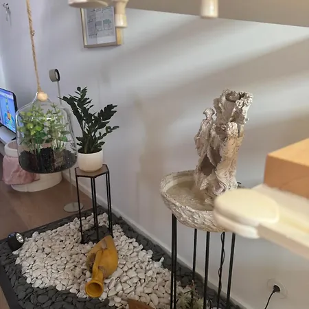 Creaconfort Casa Boa Joia De Campanha Porto