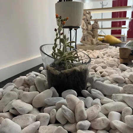 Creaconfort Casa Boa Joia De Campanha Holiday home *