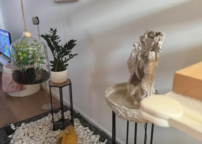 Creaconfort Casa Boa Joia De Campanha Порту