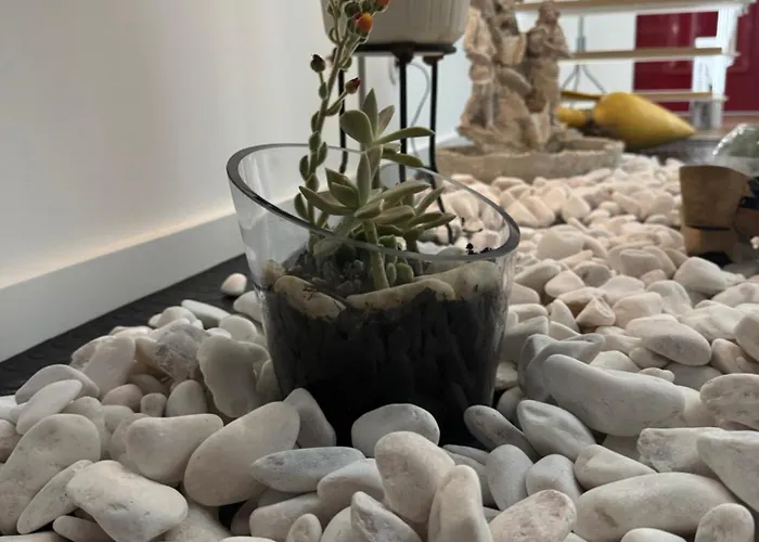 Creaconfort Casa Boa Joia De Campanha Feriehus *