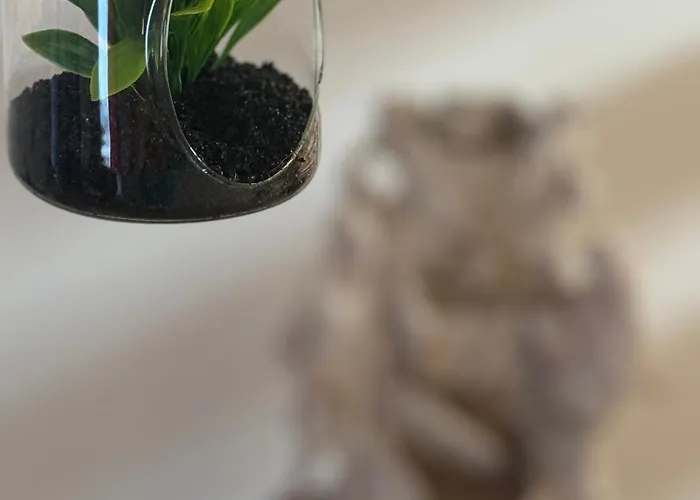 Σπίτι διακοπών Creaconfort Casa Boa Joia De Campanha