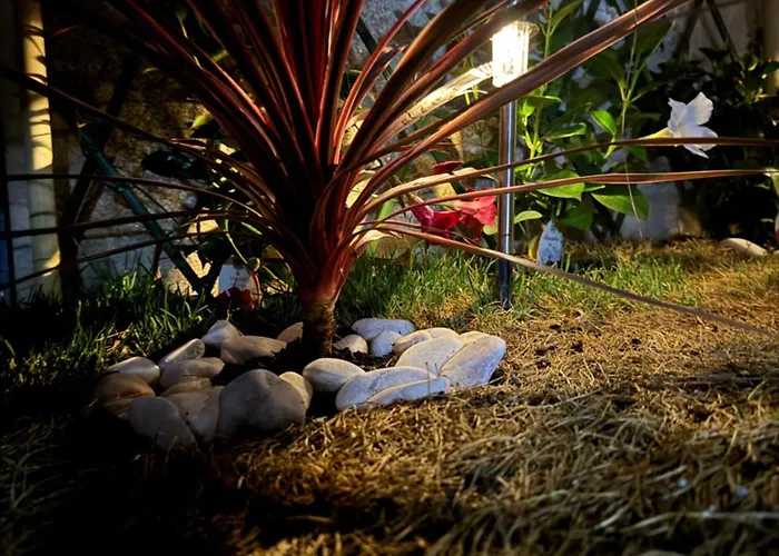 Creaconfort Casa Boa Joia De Campanha Feriehus Porto